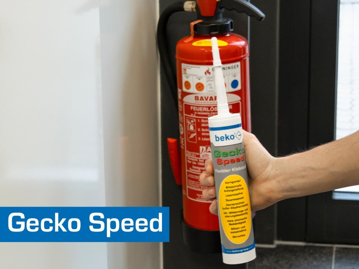 gecko-speed